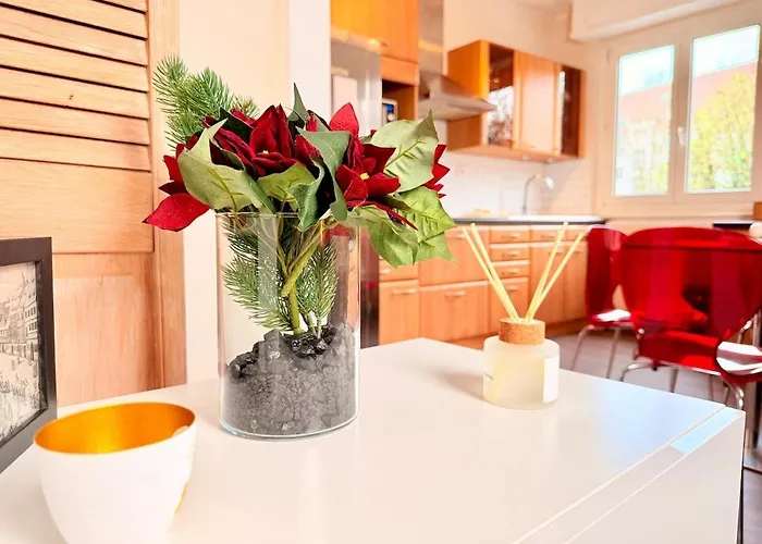 Apartment Cocon Du Quai - Proche Marche De Noel Strasbourg