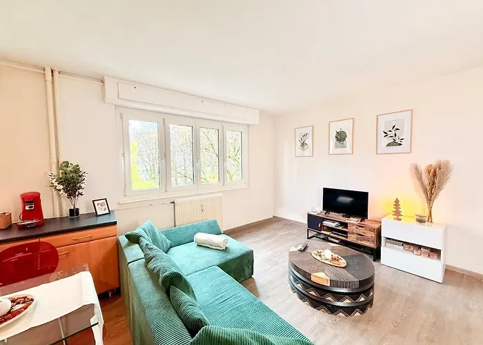 Appartement Cocon Du Quai - Proche Marché De Noël Strasbourg